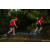 Team 53 / Raid Amazones Sri Lanka 2022 - J6 Trail
