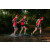 Team 53 / Raid Amazones Sri Lanka 2022 - J6 Trail