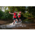 Team 42 / Raid Amazones Sri Lanka 2022 - J6 Trail