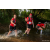 Team 17 / Raid Amazones Sri Lanka 2022 - J6 Trail