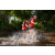 Team 70 / Raid Amazones Sri Lanka 2022 - J6 Trail