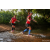 Team 39 / Raid Amazones Sri Lanka 2022 - J6 Trail
