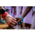 Raid Amazones Sri Lanka 2022 - J6 Trail