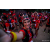 Raid Amazones Sri Lanka 2022 - J6 Trail