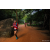 Team 78 / Raid Amazones Sri Lanka 2022 - J6 Trail