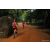 Team 78 / Raid Amazones Sri Lanka 2022 - J6 Trail