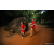 Team 77 / Raid Amazones Sri Lanka 2022 - J6 Trail