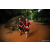 Team 04 / Raid Amazones Sri Lanka 2022 - J6 Trail
