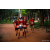 Team 19 / Raid Amazones Sri Lanka 2022 - J6 Trail
