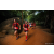 Team 19 / Raid Amazones Sri Lanka 2022 - J6 Trail