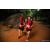 Team 12 / Raid Amazones Sri Lanka 2022 - J6 Trail