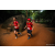 Team 47 / Raid Amazones Sri Lanka 2022 - J6 Trail