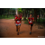 Team 28 / Raid Amazones Sri Lanka 2022 - J6 Trail