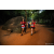 Team 28 / Raid Amazones Sri Lanka 2022 - J6 Trail