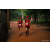 Team 20 / Raid Amazones Sri Lanka 2022 - J6 Trail