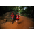 Team 20 / Raid Amazones Sri Lanka 2022 - J6 Trail