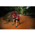 Team 57 / Raid Amazones Sri Lanka 2022 - J6 Trail