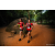 Team 60 / Raid Amazones Sri Lanka 2022 - J6 Trail