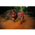 Team 37 / Raid Amazones Sri Lanka 2022 - J6 Trail