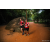 Team 40 / Raid Amazones Sri Lanka 2022 - J6 Trail