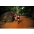 Team 91 / Raid Amazones Sri Lanka 2022 - J6 Trail
