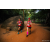 Team 15 / Raid Amazones Sri Lanka 2022 - J6 Trail