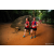 Team 06 / Raid Amazones Sri Lanka 2022 - J6 Trail