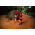 Team 21 / Raid Amazones Sri Lanka 2022 - J6 Trail