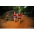 Team 58 / Raid Amazones Sri Lanka 2022 - J6 Trail