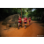 Team 36 / Raid Amazones Sri Lanka 2022 - J6 Trail