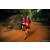 Team 29 / Raid Amazones Sri Lanka 2022 - J6 Trail