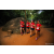 Team 01 / Raid Amazones Sri Lanka 2022 - J6 Trail
