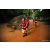 Team 31 / Raid Amazones Sri Lanka 2022 - J6 Trail