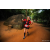 Team 63 / Raid Amazones Sri Lanka 2022 - J6 Trail