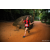 Team 63 / Raid Amazones Sri Lanka 2022 - J6 Trail