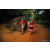 Team 24 / Raid Amazones Sri Lanka 2022 - J6 Trail