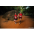Team 81 / Raid Amazones Sri Lanka 2022 - J6 Trail
