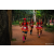 Team 75 / Raid Amazones Sri Lanka 2022 - J6 Trail