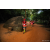 Team 75 / Raid Amazones Sri Lanka 2022 - J6 Trail