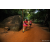 Team 75 / Raid Amazones Sri Lanka 2022 - J6 Trail
