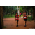 Team 22 / Raid Amazones Sri Lanka 2022 - J6 Trail