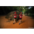 Team 22 / Raid Amazones Sri Lanka 2022 - J6 Trail