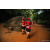 Team 65 / Raid Amazones Sri Lanka 2022 - J6 Trail