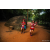 Team 56 / Raid Amazones Sri Lanka 2022 - J6 Trail