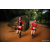Team 09 / Raid Amazones Sri Lanka 2022 - J6 Trail