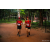 Team 53 / Raid Amazones Sri Lanka 2022 - J6 Trail