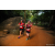 Team 30 / Raid Amazones Sri Lanka 2022 - J6 Trail