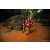 Team 79 / Raid Amazones Sri Lanka 2022 - J6 Trail