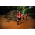 Team 42 / Raid Amazones Sri Lanka 2022 - J6 Trail