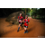 Team 33 / Raid Amazones Sri Lanka 2022 - J6 Trail